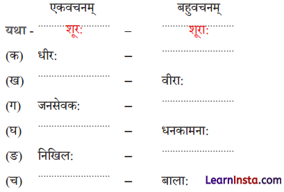 Class 6 Sanskrit Chapter 5 Question Answer Solutions शूराः वयं धीराः वयम् 6