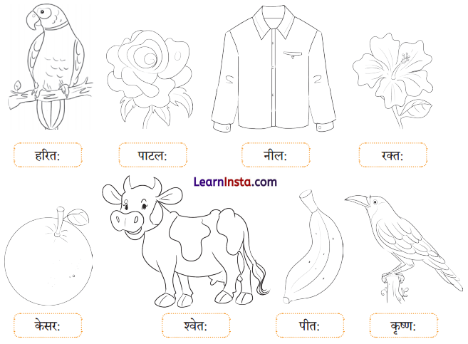 Class 6 Sanskrit Chapter 6 Question Answer Solutions सः एव महान् चित्रकारः 3