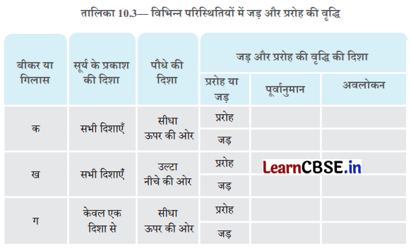 Class 6 Science Chapter 10 Question Answer in Hindi सजीव विशेषताओं का अन्वेषण 10