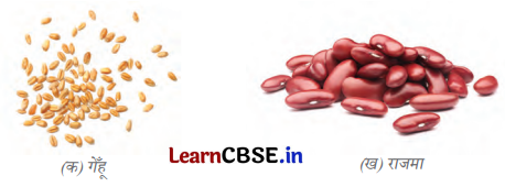 Class 6 Science Chapter 2 Question Answer in Hindi सजीव जगत में विविधता 1