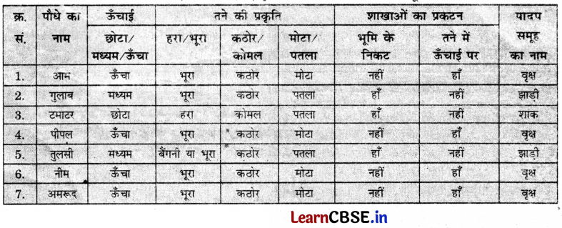 Class 6 Science Chapter 2 Question Answer in Hindi सजीव जगत में विविधता 12