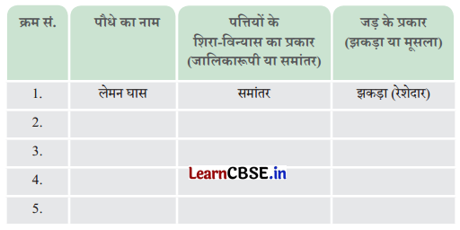 Class 6 Science Chapter 2 Question Answer in Hindi सजीव जगत में विविधता 13