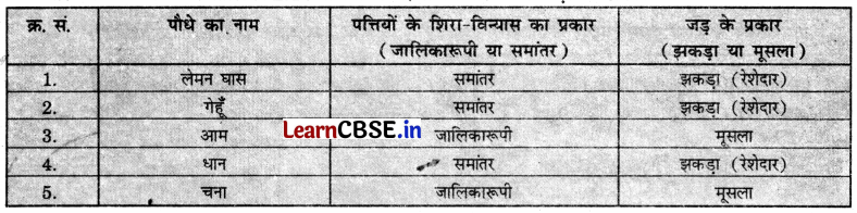 Class 6 Science Chapter 2 Question Answer in Hindi सजीव जगत में विविधता 14