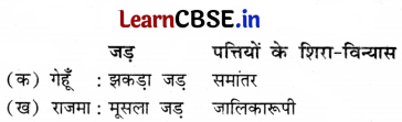 Class 6 Science Chapter 2 Question Answer in Hindi सजीव जगत में विविधता 2