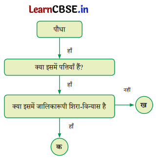 Class 6 Science Chapter 2 Question Answer in Hindi सजीव जगत में विविधता 5