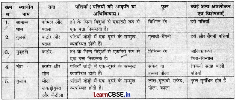 Class 6 Science Chapter 2 Question Answer in Hindi सजीव जगत में विविधता 8