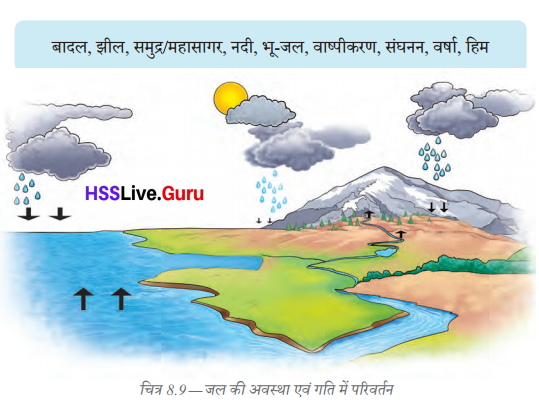 Class 6 Science Chapter 8 Question Answer in Hindi जल की विविध अवस्थाओं की यात्रा 6