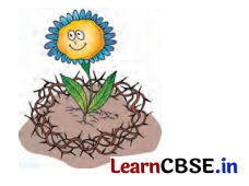 Class 7 Hindi Chapter 3 Question Answer फूल और काँटा 1