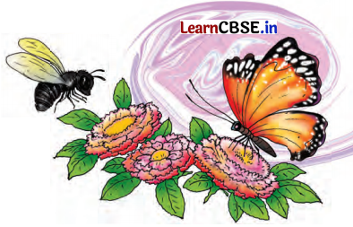 Class 7 Hindi Chapter 3 Question Answer फूल और काँटा 13