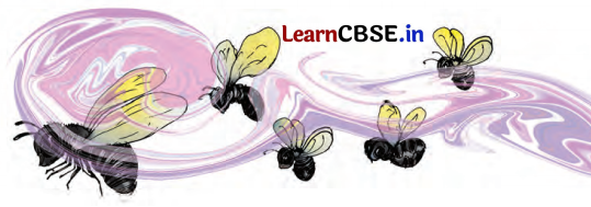 Class 7 Hindi Chapter 3 Question Answer फूल और काँटा 18