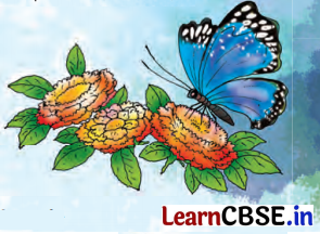 Class 7 Hindi Chapter 3 Question Answer फूल और काँटा 23