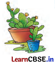 Class 7 Hindi Chapter 3 Question Answer फूल और काँटा 24