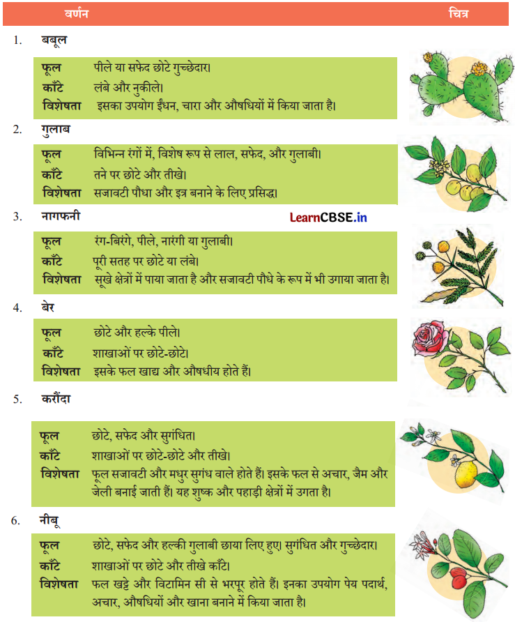 Class 7 Hindi Chapter 3 Question Answer फूल और काँटा 25