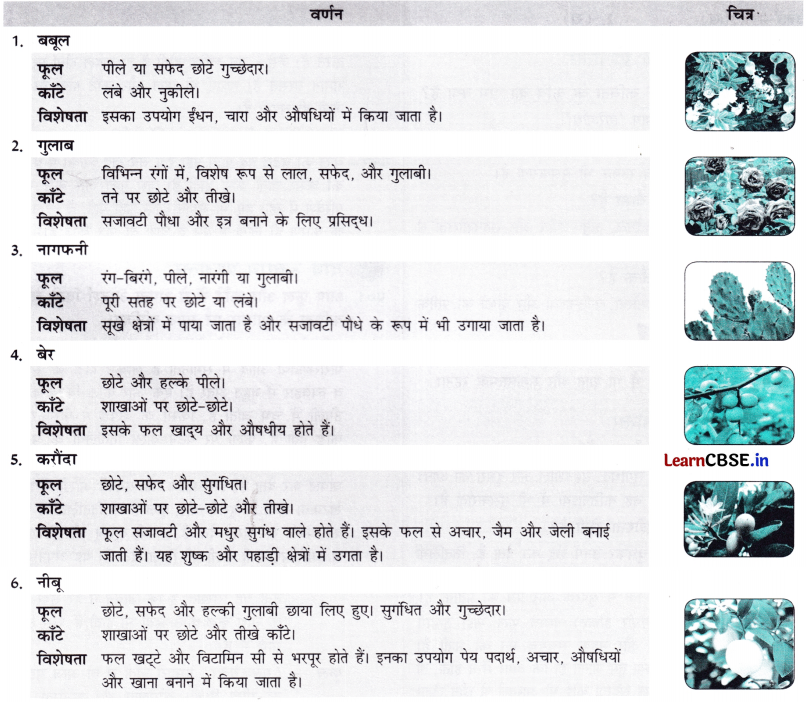 Class 7 Hindi Chapter 3 Question Answer फूल और काँटा 26