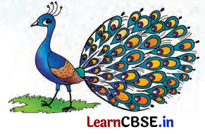 Class 7 Hindi Chapter 7 Question Answer वर्षा बहार 1