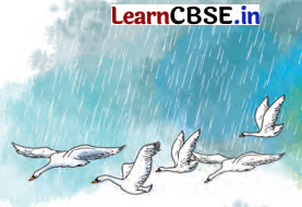 Class 7 Hindi Chapter 7 Question Answer वर्षा बहार 4