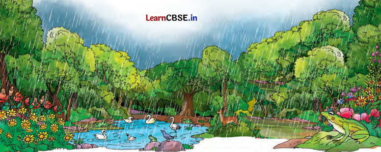 Class 7 Hindi Chapter 7 Question Answer वर्षा बहार 8