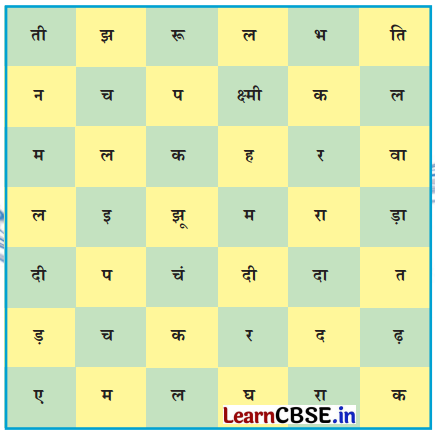 Class 7 Hindi Chapter 8 Question Answer बिरजू महाराज से साक्षात्कार 13