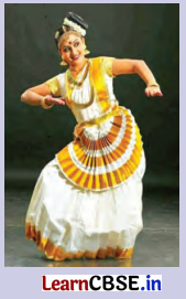 Class 7 Hindi Chapter 8 Question Answer बिरजू महाराज से साक्षात्कार 21