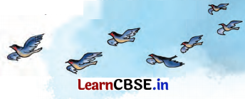 Class 7 Hindi Chapter 9 Question Answer चिड़िया 1