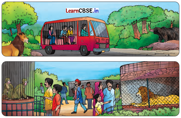 Class 7 Hindi Chapter 9 Question Answer चिड़िया 11