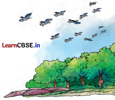 Class 7 Hindi Chapter 9 Question Answer चिड़िया 12