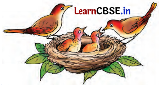 Class 7 Hindi Chapter 9 Question Answer चिड़िया 6