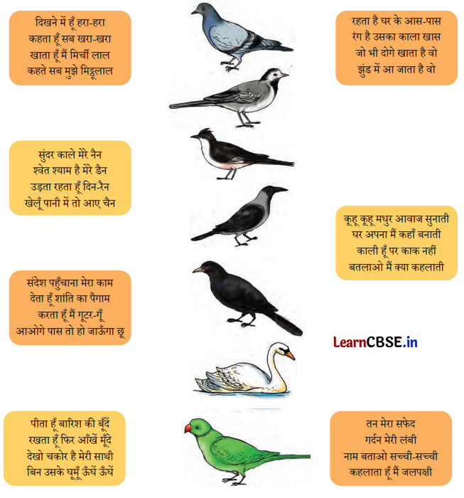 Class 7 Hindi Chapter 9 Question Answer चिड़िया 8