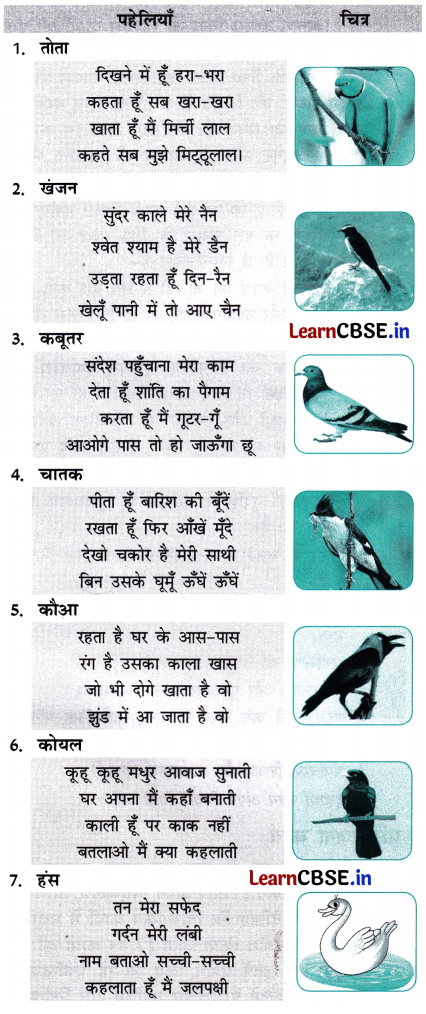 Class 7 Hindi Chapter 9 Question Answer चिड़िया 9