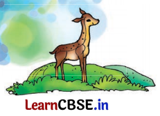 Class 8 Hindi Chapter 1 Question Answer स्वदेश 11