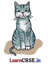 Class 8 Hindi Chapter 2 Question Answer दो गौरैया 10