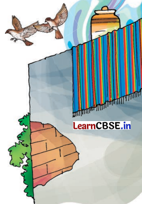 Class 8 Hindi Chapter 2 Question Answer दो गौरैया 8
