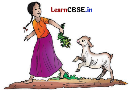 Class 8 Hindi Chapter 6 Question Answer एक टोकरी भर मिट्टी 22