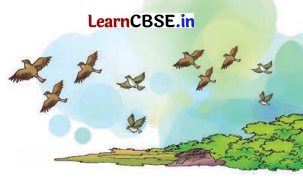 Class 8 Hindi Chapter 7 Question Answer मत बाँधो 13