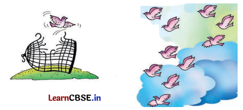 Class 8 Hindi Chapter 7 Question Answer मत बाँधो 15