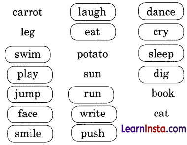 Colours Class 3 Question Answer NCERT Solutions Class 3 English Chapter 1 12