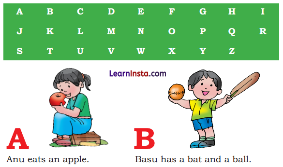 Colours Class 3 Question Answer NCERT Solutions Class 3 English Chapter 1 15