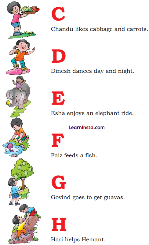 Colours Class 3 Question Answer NCERT Solutions Class 3 English Chapter 1 16