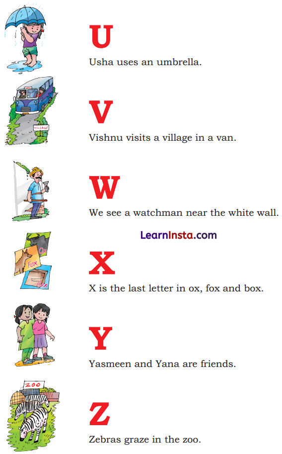 Colours Class 3 Question Answer NCERT Solutions Class 3 English Chapter 1 19