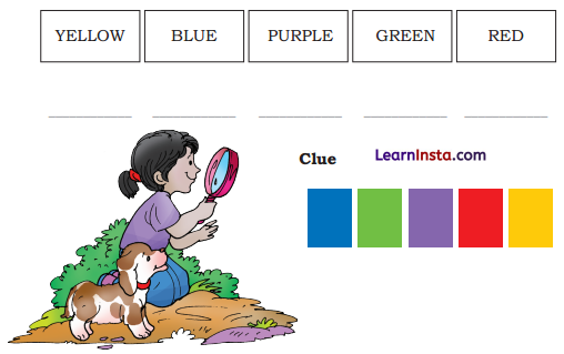 Colours Class 3 Question Answer NCERT Solutions Class 3 English Chapter 1 20