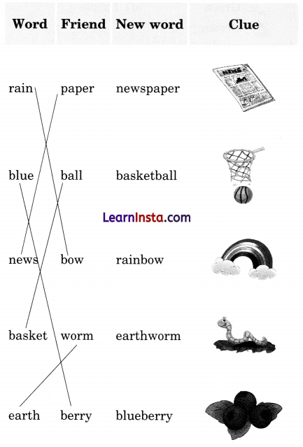 Colours Class 3 Question Answer NCERT Solutions Class 3 English Chapter 1 23