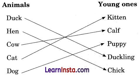 Colours Class 3 Question Answer NCERT Solutions Class 3 English Chapter 1 4