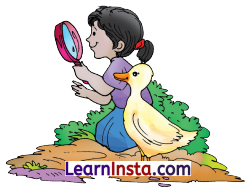 Colours Class 3 Question Answer NCERT Solutions Class 3 English Chapter 1 6