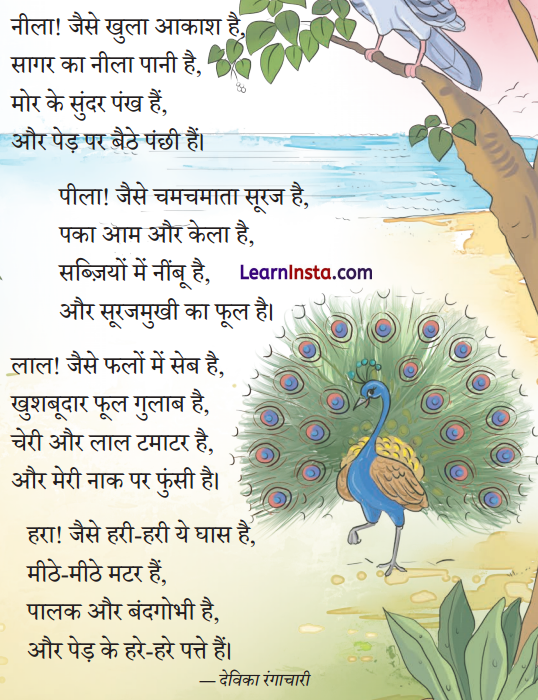 Duniya Rang Birangi Class 2 Question Answer Hindi Chapter 9 1