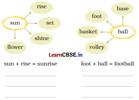 Gone with the Scooter Class 5 Question Answer English Santoor Chapter 2 7