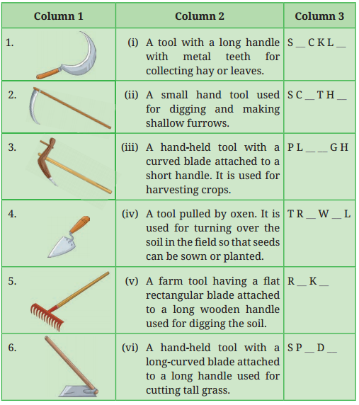Harvest Hymn Question Answer Class 8 English Poorvi Chapter 11 5