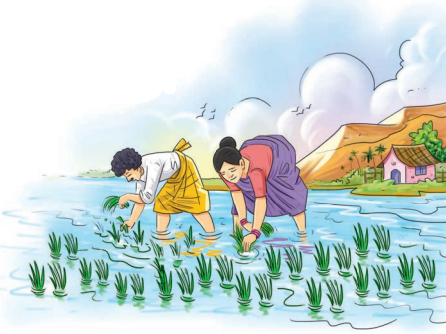 Harvest Hymn Question Answer Class 8 English Poorvi Chapter 11 7