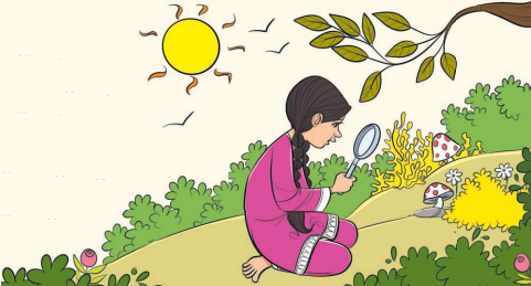 Magnifying Glass Question Answer Class 8 English Poorvi Chapter 14 2