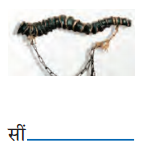 Mathrubhumi Class 6 Question Answer Hindi Malhar Chapter 1 8