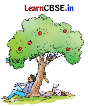 Mridang Class 1 English Solutions Chapter 6 Fun with Pictures 12